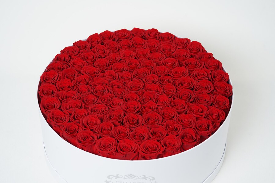 Vellarose Crimson Embrace